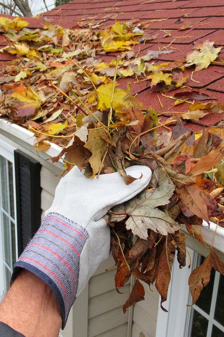 Should You Clean Your Gutters Before or After Leaves Fall?